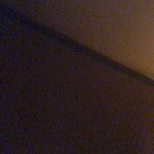 Meet your Posher, Rodney